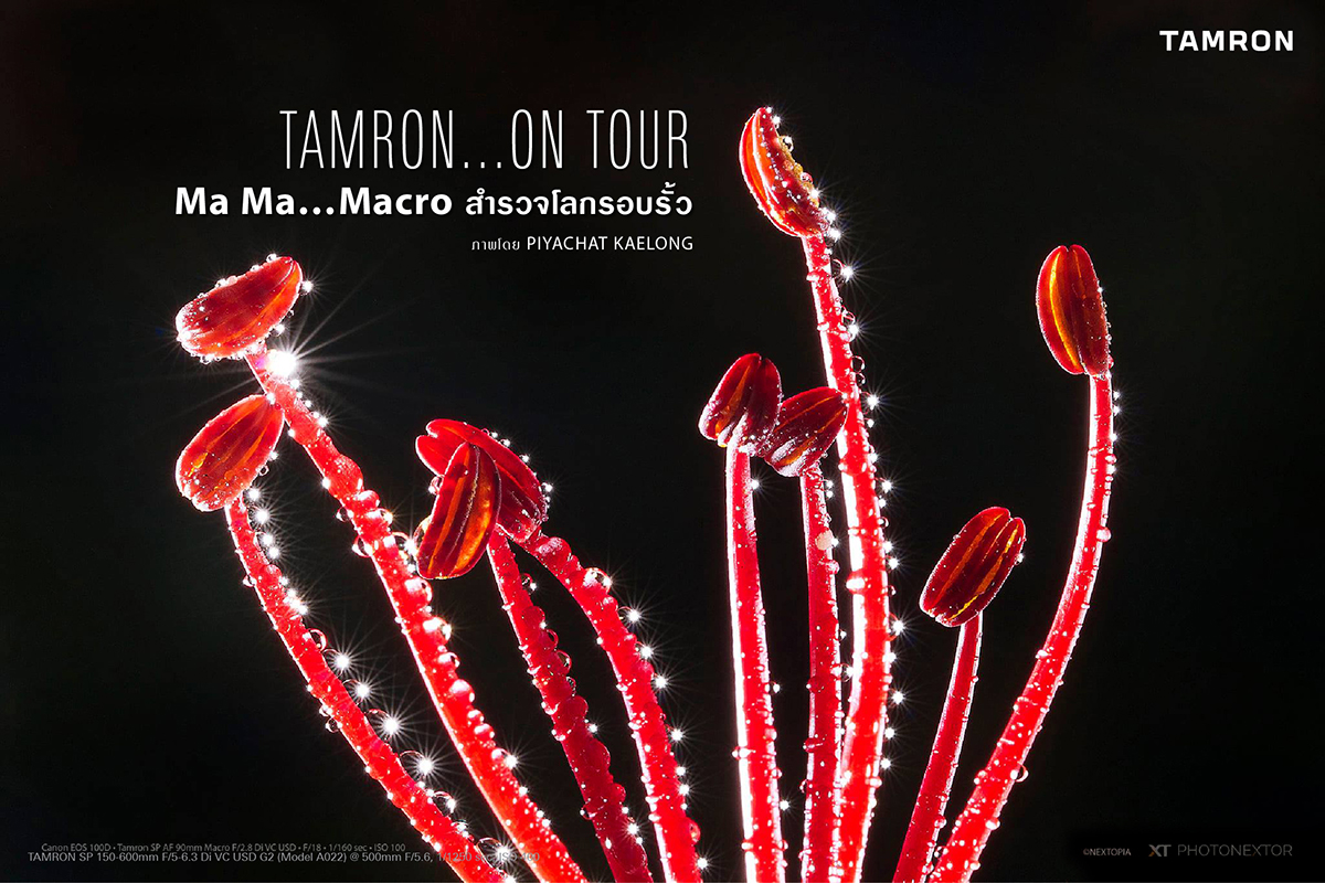 TAMRON… ON TOUR