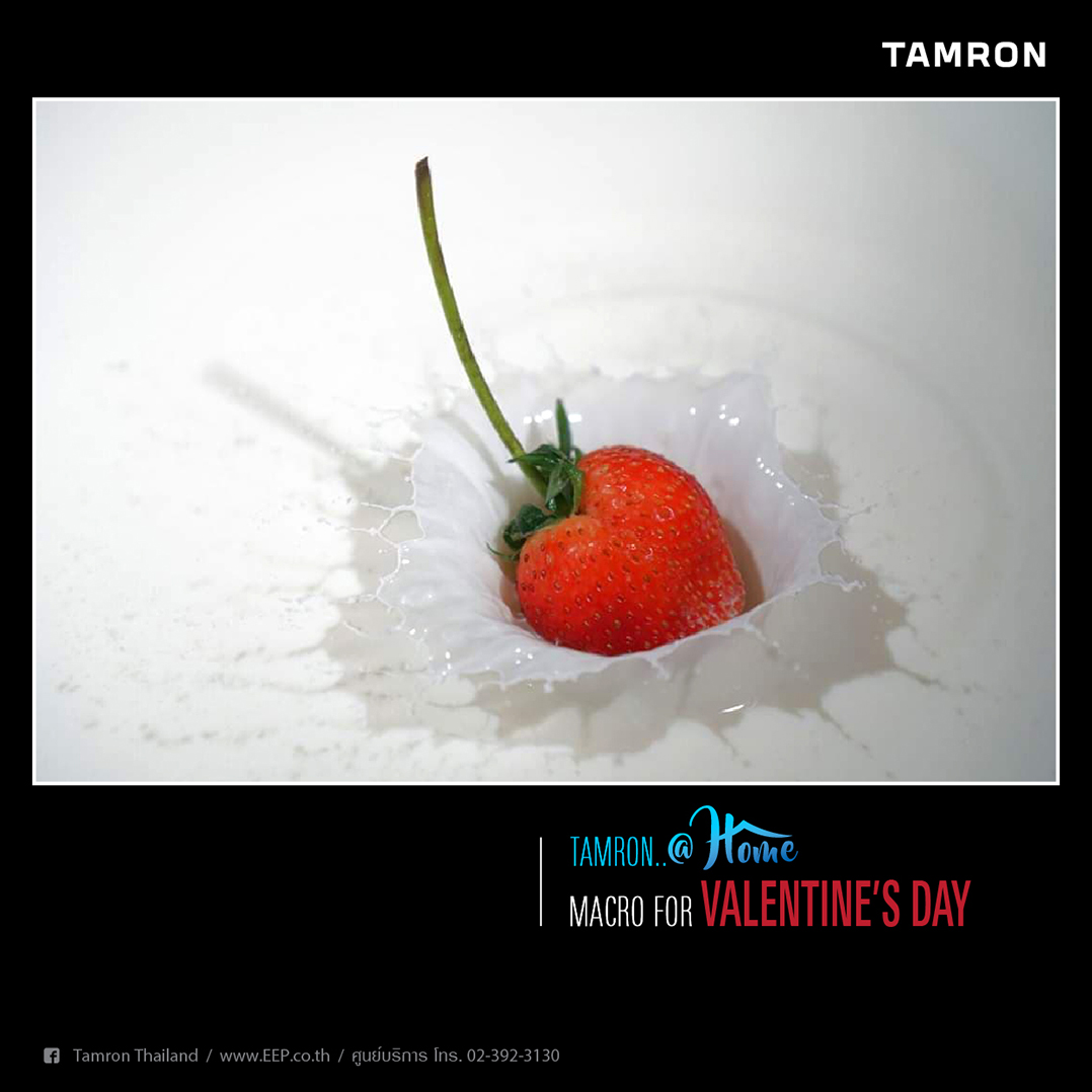 Tamron @Home Strawberry Tamron @Home Strawberry