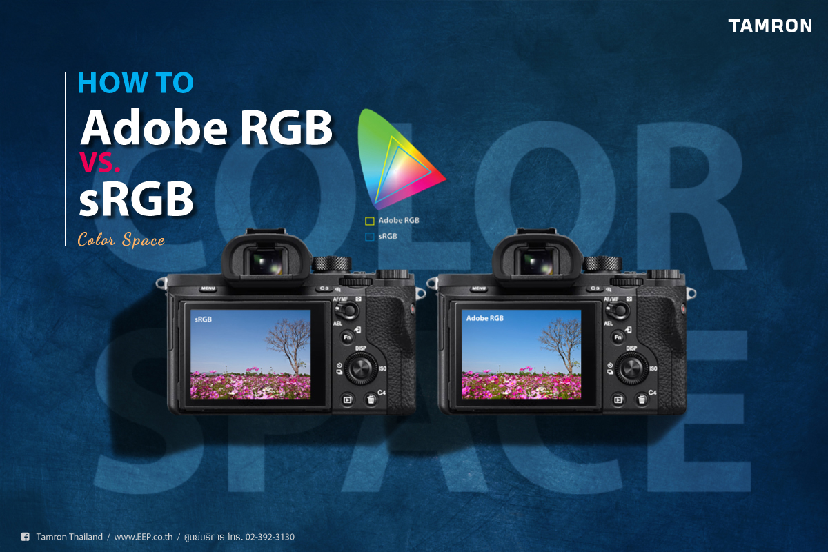 TAMRON How to… Adobe RGB VS. SRGB TAMRON How to… Adobe RGB VS. SRGB