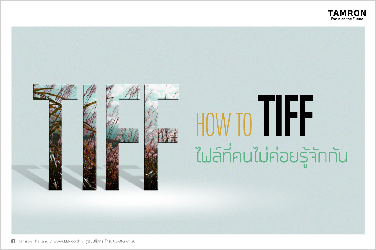 HOW TO : TIFF ไฟล์ที่คนไม่ค่อยรู้จักกัน HOW TO : TIFF ไฟล์ที่คนไม่ค่อยรู้จักกัน