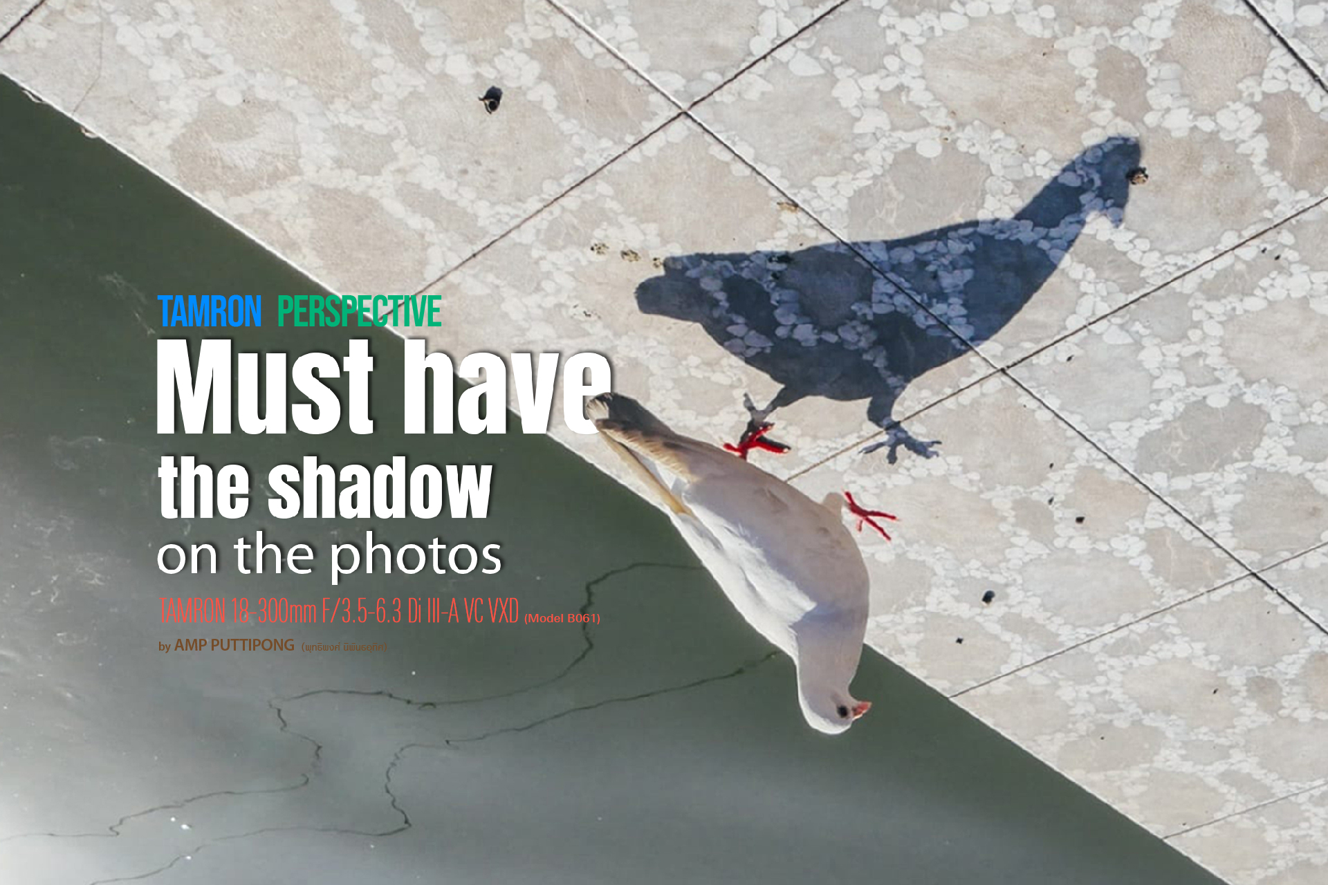 TAMRON PERSPECTIVE : MUST HAVE THE SHADOW ON THE PHOTOS