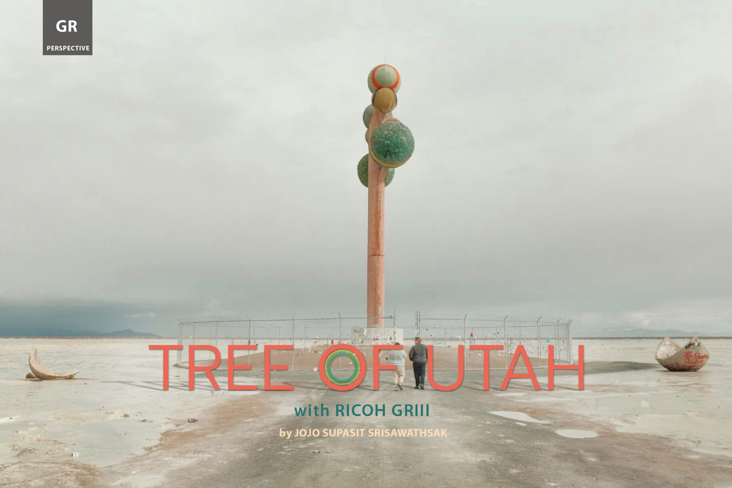 GR PERSPECTIVE : TREE OF UTAH with RICOH GRIII