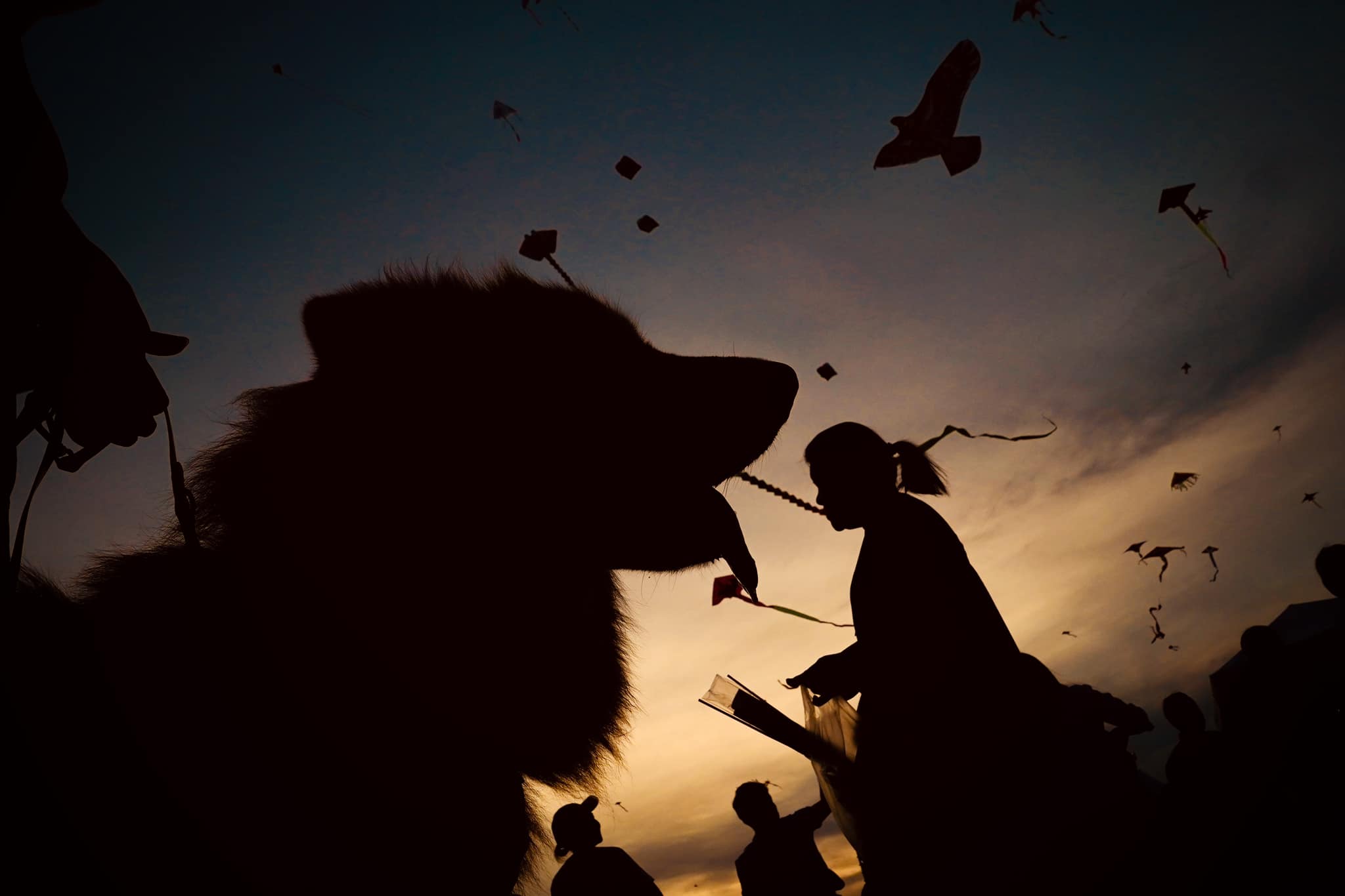 TAMRON PERSPECTIVE : KITE ON THE LAKE งานว่าวริมทะเลสาบเมืองทอง