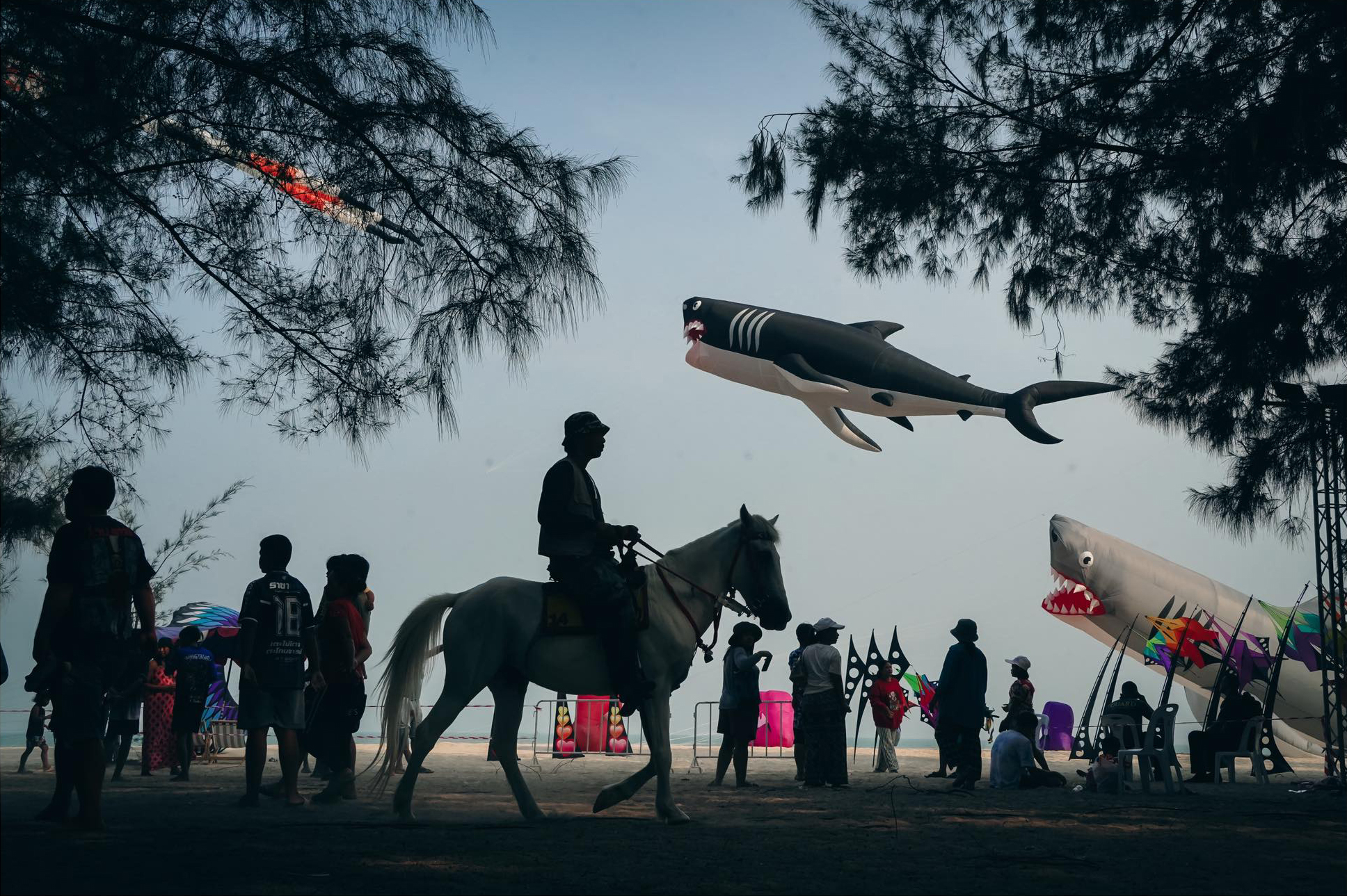 TAMRON PERSPECTIVE : ฉลามและผองเพื่อนบุกCHA-AM TAMRON PERSPECTIVE : ฉลามและผองเพื่อนบุกCHA-AM