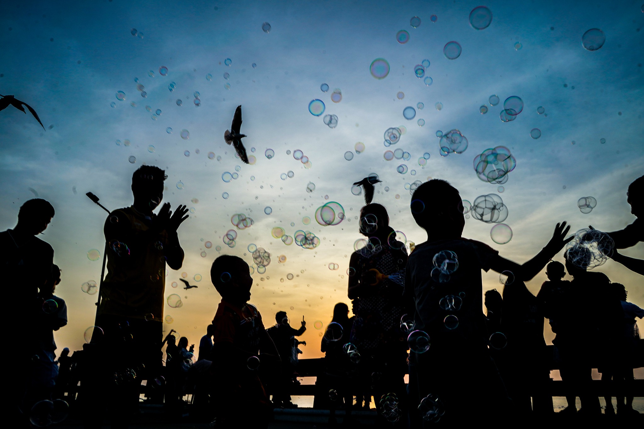TAMRON PERSPECTIVE :  ระบำฟองสบู่ยามอัสดง