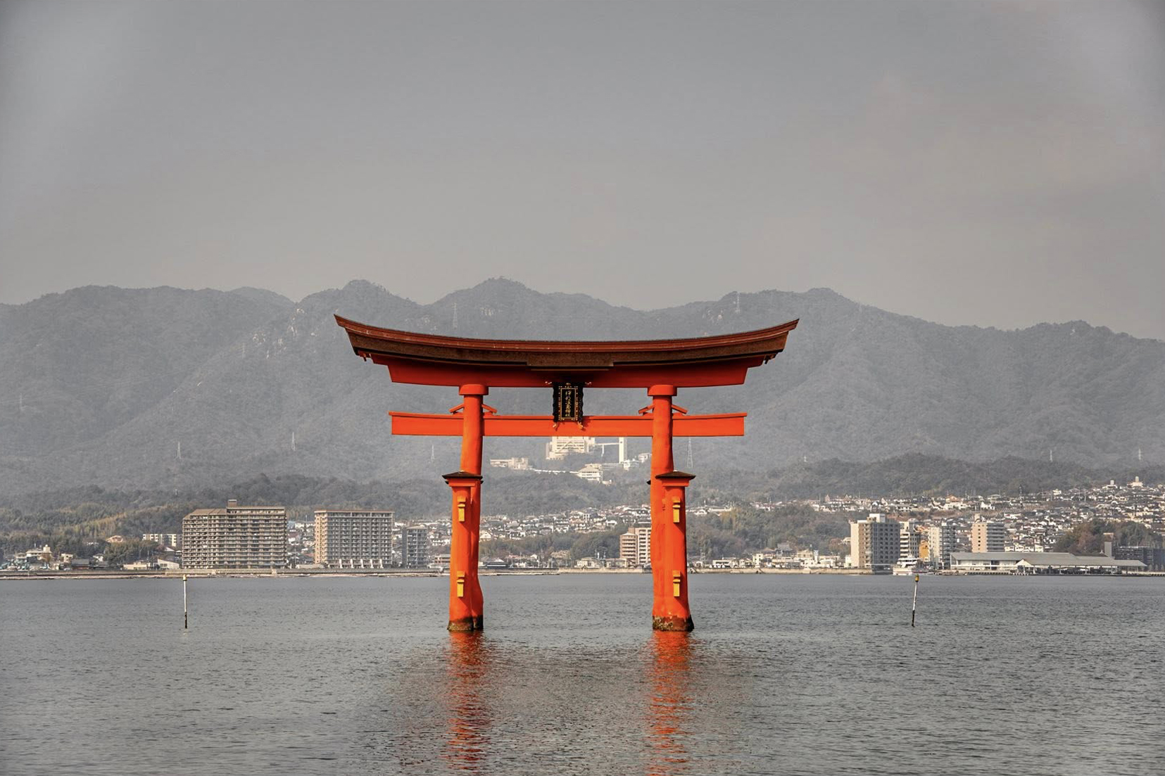 TAMRON PERSPECTIVE : JAPAN 2025 #2
