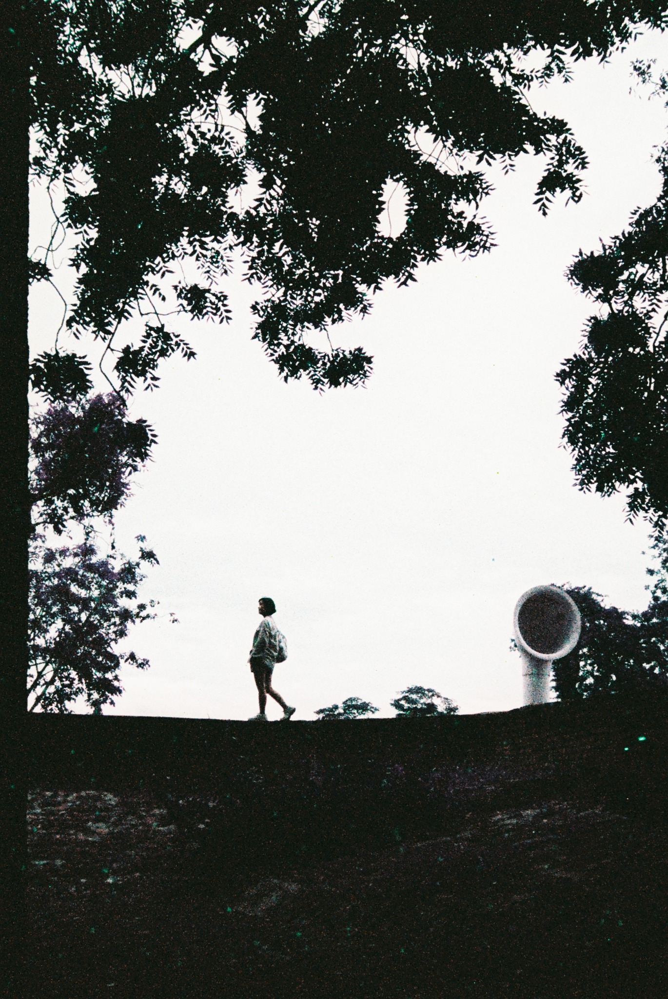 PENTAX EXPERIENCE : 23 MOST FAVORITE PHOTOS FROM PENTAX17 #2 PENTAX EXPERIENCE : 23 MOST FAVORITE PHOTOS FROM PENTAX17 #2
