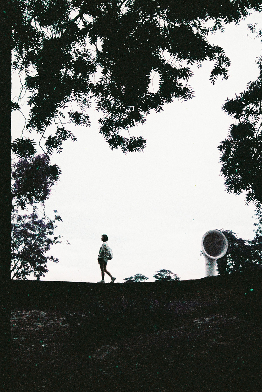 PENTAX EXPERIENCE : 23 MOST FAVORITE PHOTOS FROM PENTAX17 #2 PENTAX EXPERIENCE : 23 MOST FAVORITE PHOTOS FROM PENTAX17 #2