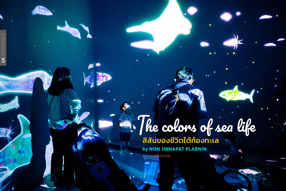 GR EXPERIENCE : The colors of sea life ..สีสันของชีวิตใต้ท้องทะเล GR EXPERIENCE : The colors of sea life ..สีสันของชีวิตใต้ท้องทะเล