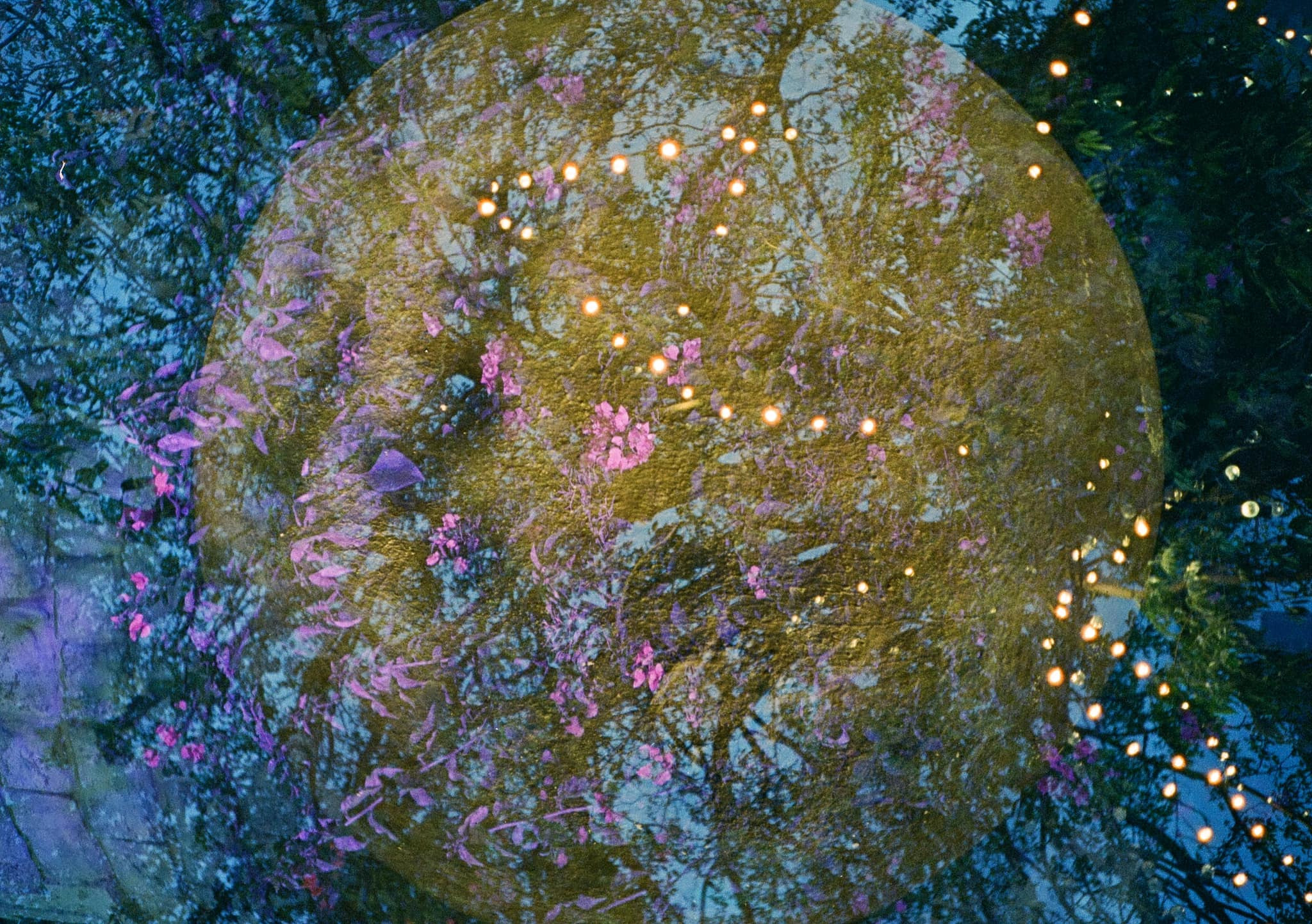 PENTAX EXPERIENCE :  ขออภัยมือใหม่..คราวหน้าจะไม่พลาด