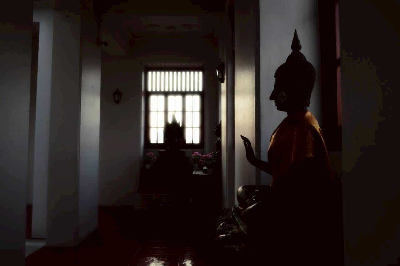 NEW IMAGE CONTROL ..สนุกมาก ทุกอย่างง่ายไปหมด