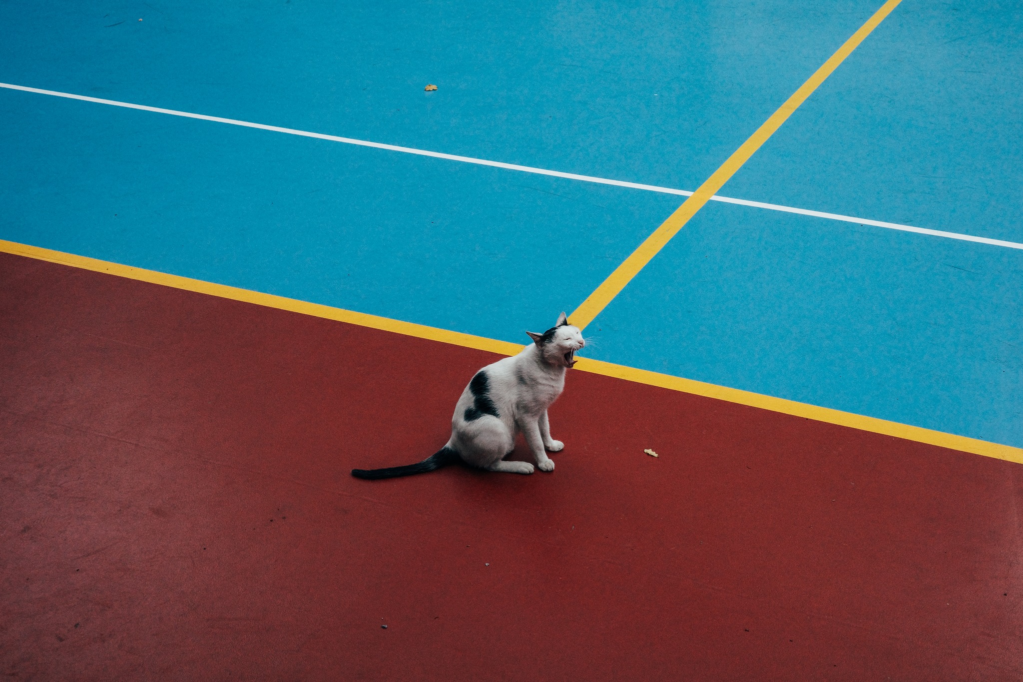 City Walk with RICOH GR IIIx HDF