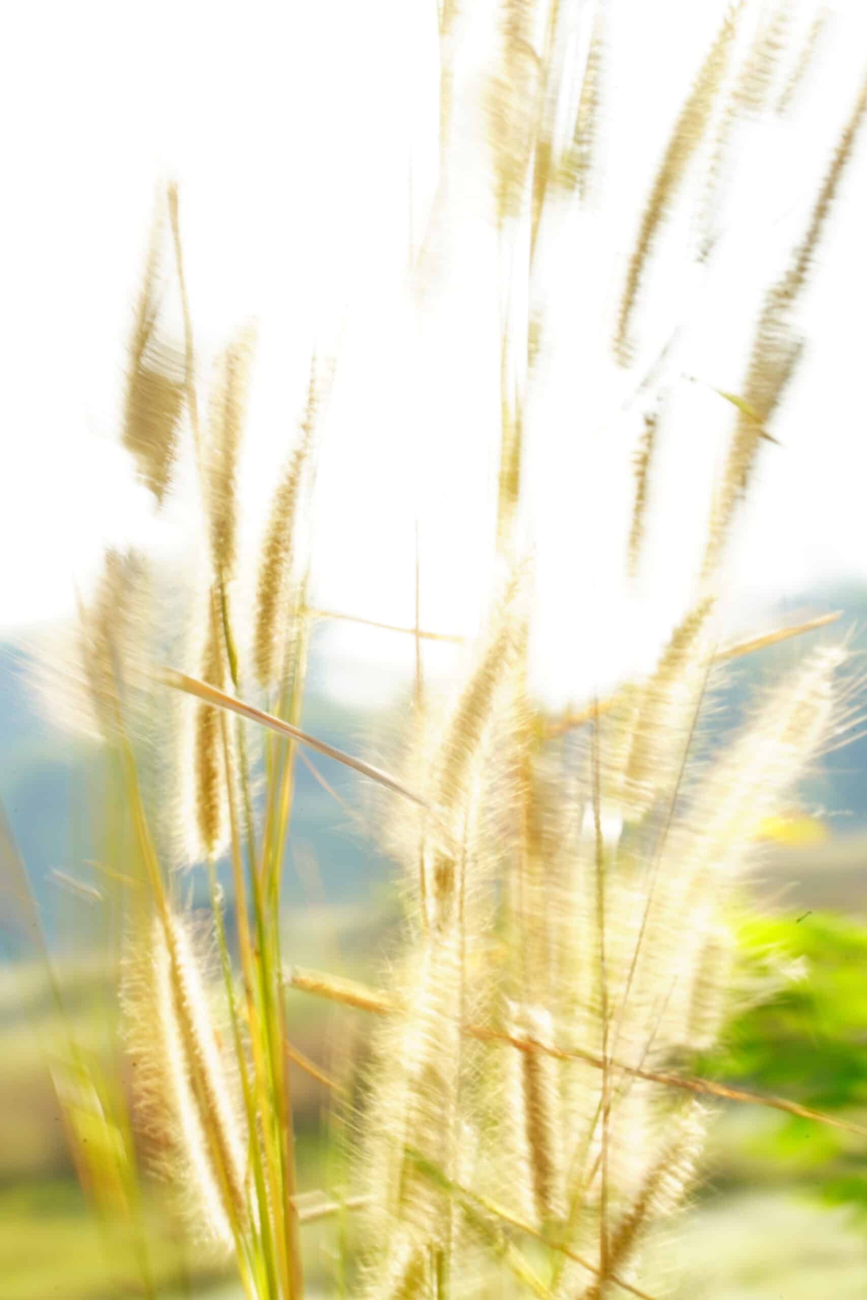 สะบัดแสง..ด้วยสปีดต่ำ สะบัดแสง..ด้วยสปีดต่ำ