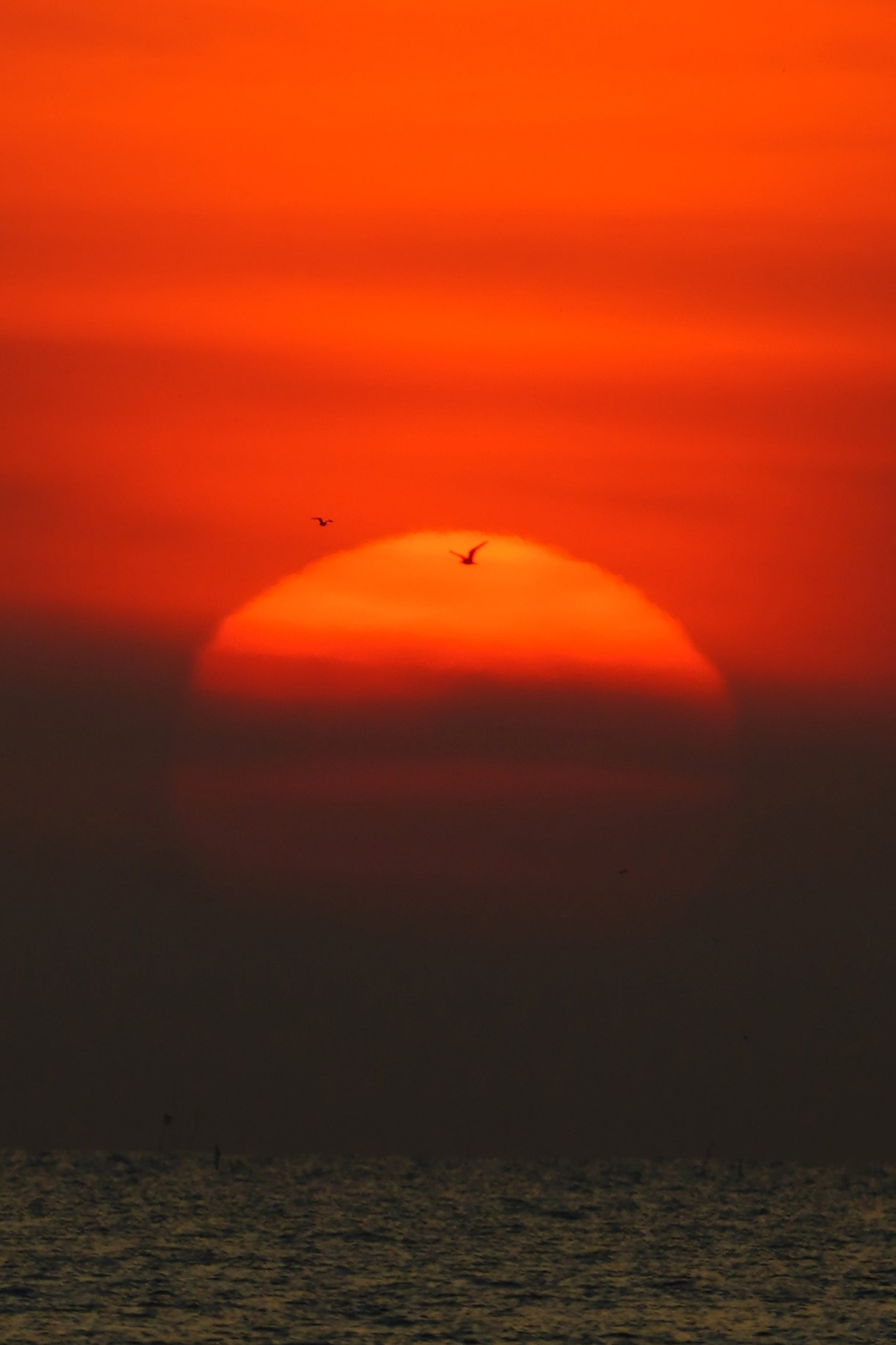 โชค..กับการถ่ายภาพเป็นสิ่งคู่กัน