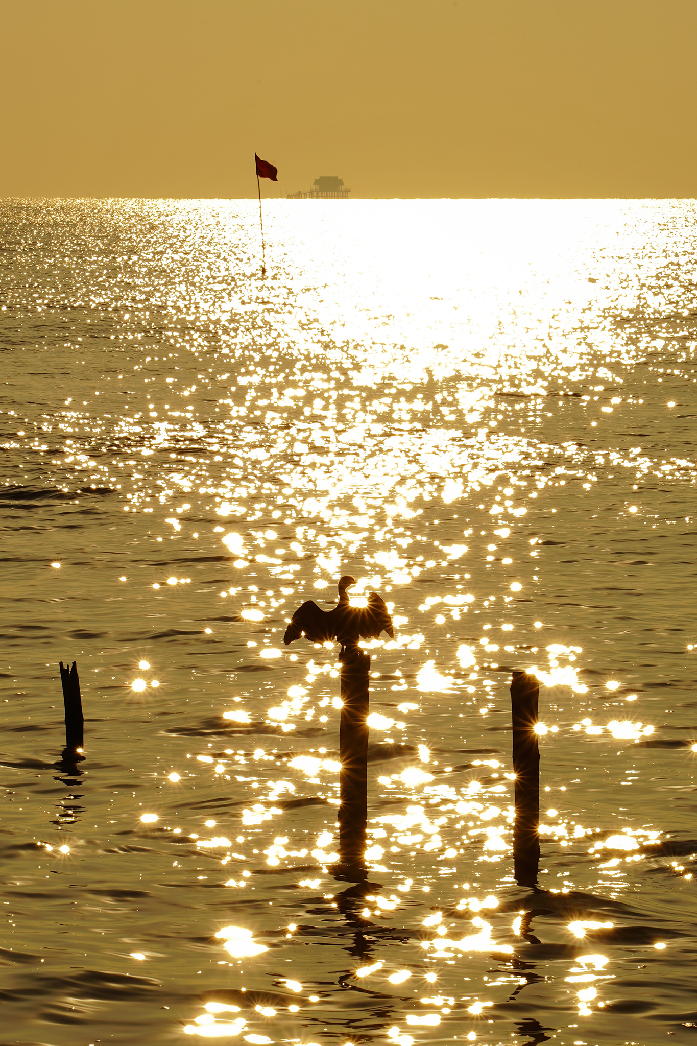 บีบแสง..สร้างประกายน้ำ