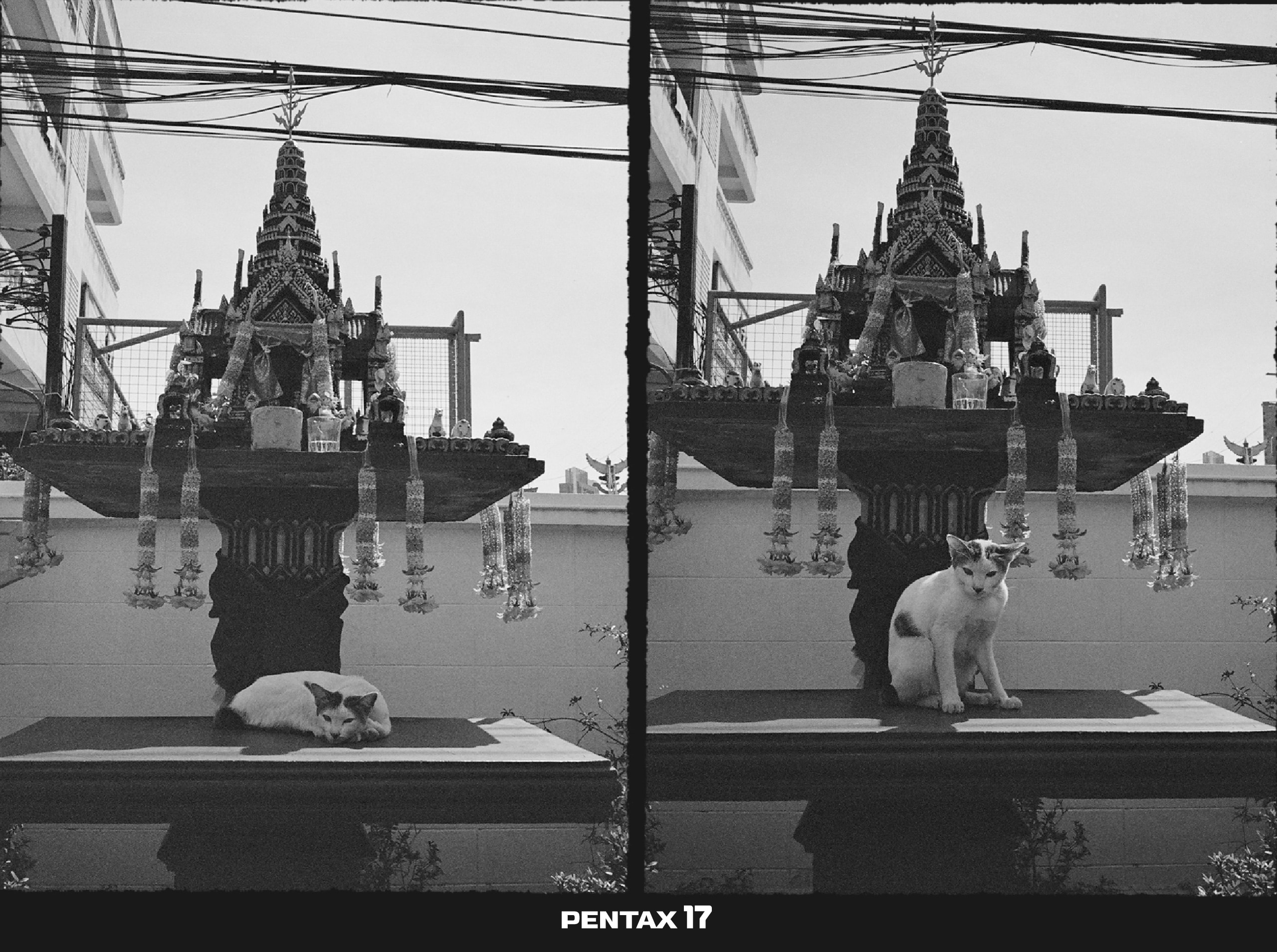 HALF FRAME..ช่วยเล่าเรื่อง HALF FRAME..ช่วยเล่าเรื่อง